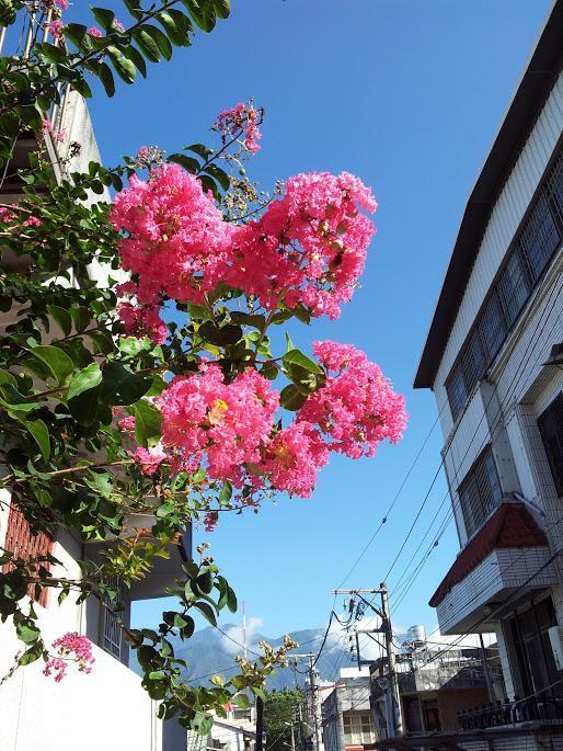 Literature River Bank 文學河岸 民宿 Hualien City Exterior foto